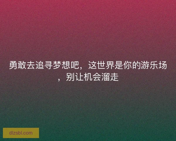勇敢去追寻梦想吧，这世界是你的游乐场，别让机会溜走
